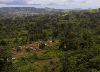 Internacionales: Kobo Resources Avanza en Búsqueda de Oro en Kossou