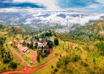 Internacionales: Lifezone Metals y JOGMEC Un Acuerdo que Revoluciona el Suministro de Níquel para Baterías