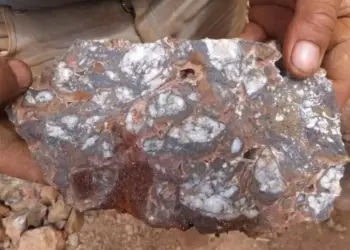 Chile: Carrizal Despliega su Tesoro: Red Metal Inicia Exploración Intensiva