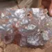 Chile: Carrizal Despliega su Tesoro: Red Metal Inicia Exploración Intensiva
