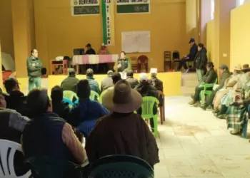 Perú: Ingemmet en Puno