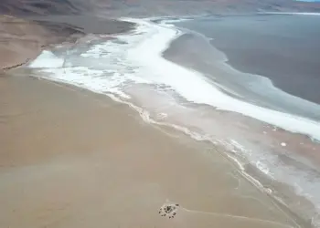 Argentina: Galan Lithium Rechazo Millonario por su Litio Argentino