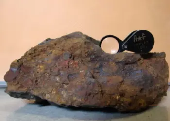 Brasil: Madeira Gold Despegue de la Exploración en Brasil