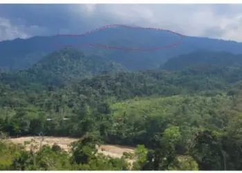 Perú: Andes en Descenso