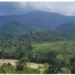 Perú: Andes en Descenso