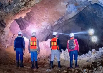 México: Panuco Nuevo Hallazgo de Plata y Oro de Alto Grado