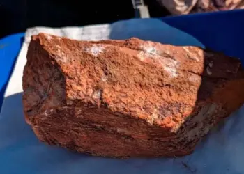 Internacionales: Gigantes Junior Unen Fuerzas por el Litio