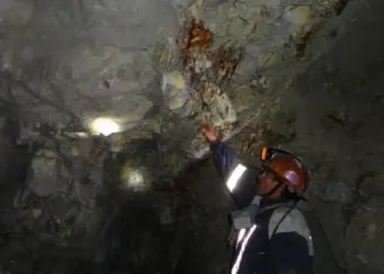 Bolivia: Paca Apuradita Plata en Producción para Mayo