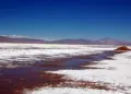 Chile: Litio en Maricunga
