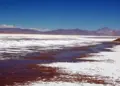 Chile: Litio Chileno