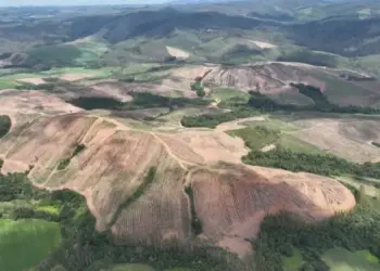 Brasil: Brasil Lidera Carrera por Tierras Raras