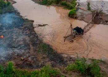 Perú: Madre de Dios Revive sus Ecosistemas