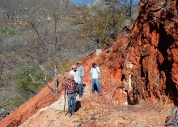 México: Silver Spruce Asegura Futuro en Pino de Plata