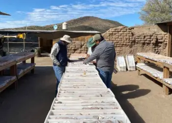 México: Capitán Silver Expande Territorio