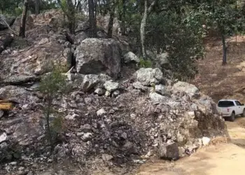México: Mammoth Impulsa Tenoriba con US$ 750 Mil