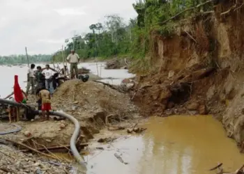 Bolivia: Dragas Ilegales Azotan Manuripi