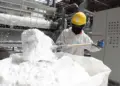 Bolivia: Bolivia: Producción de Litio Estancada sin EDL
