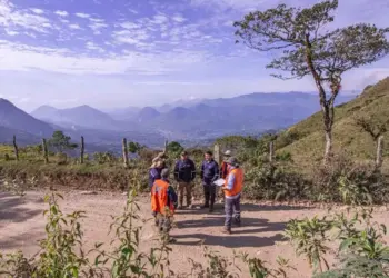 Colombia: Oro de Alta Ley en Colombia