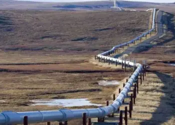 Argentina: Vaca Muerta Petróleo a Chile