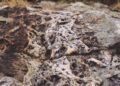 México: Roberto Resources Adquiere Claudia