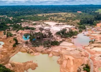 Ecuador: Duro Golpe a Minería Ilegal en Ecuador