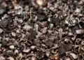 Chile: Super Copper Adquiere Castilla