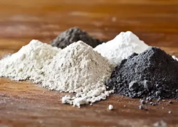 Bolivia: Tierras Raras Dilema Amazónico