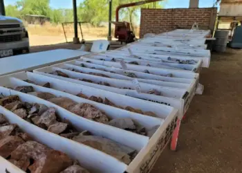 México: Tocvan Avanza en Gran Pilar