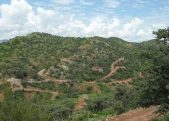 México: Columba Plata de Alto Grado en México