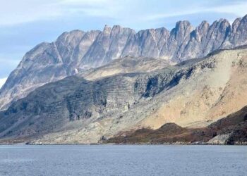 Internacionales: Un Paso Hacia la Autonomía