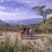 Colombia: El Nuevo Tesoro de Collective Mining