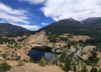 Estados Unidos: Oro y Defensa