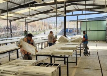 México: Un Nuevo Potencial en México