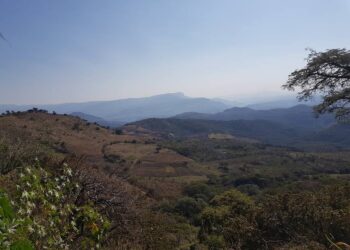 México: La Plata Brilla en México