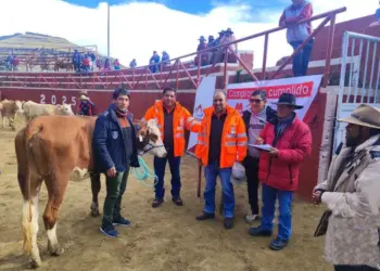 Perú: Bloqueo Millonario