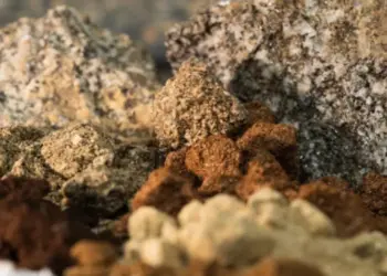 Internacionales: Escudo Mineral