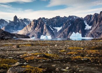 Internacionales: Macron Frena el Oro
