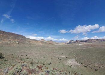 Estados Unidos: Litio, Hecho en USA