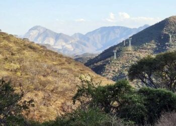 México: Oro Explosivo