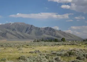 Estados Unidos: Auge del Litio