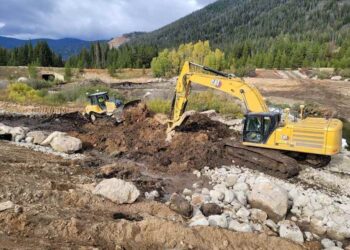 Estados Unidos: La Guerra del Mineral Crítico