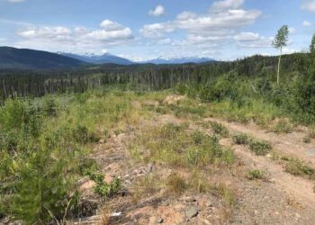 Canadá: Cobre Estratégico en Canadá