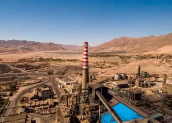 Chile: Paipote Verde