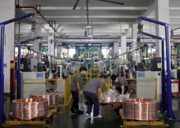 Internacionales: Vigilancia Global