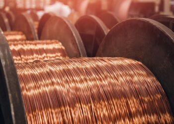 Chile: Eje Andino-Indio