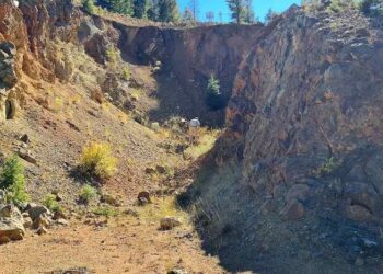 USA: Wolframio Escudo de EE. UU.