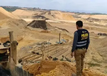 Perú: La Paradoja del Canon