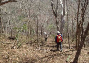 México: Oro y Plata Taladro Final
