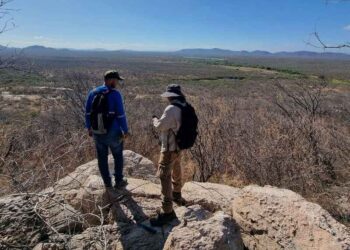 Brasil: Energía y Níquel