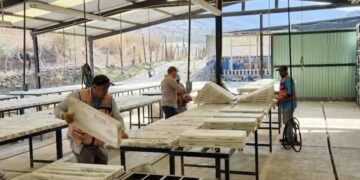 México: Oro de Ana Paula